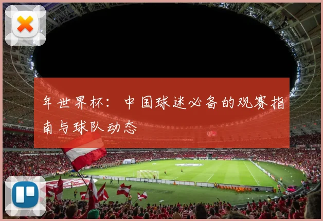 年世界杯：中国球迷必备的观赛指南与球队动态