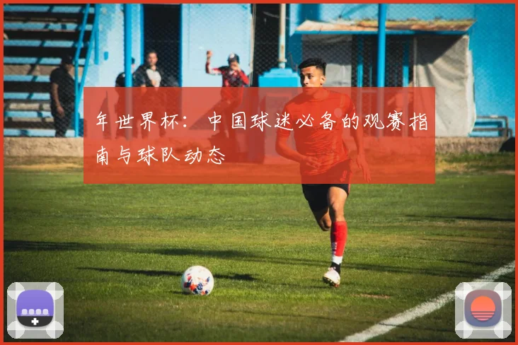 年世界杯:中国球迷必备的观赛指南与球队动态